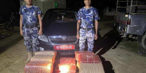 १ सय ४५ केजी गाँजा बरामद साथै कार छाडी फरार