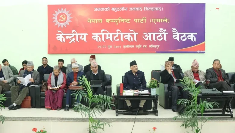 एमालेको केन्द्रीय कमिटी बैठक जारी