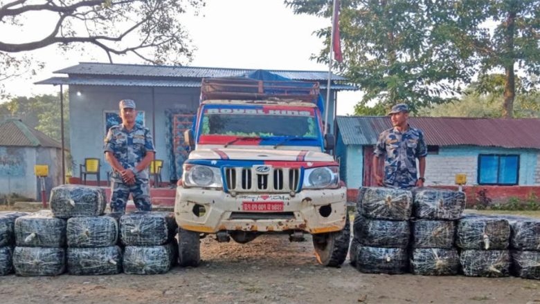 मोरङमा तरकारीभित्र लुकाएर भारत लैजाँदै गरेको ५७० किलो गाँजा बरामद